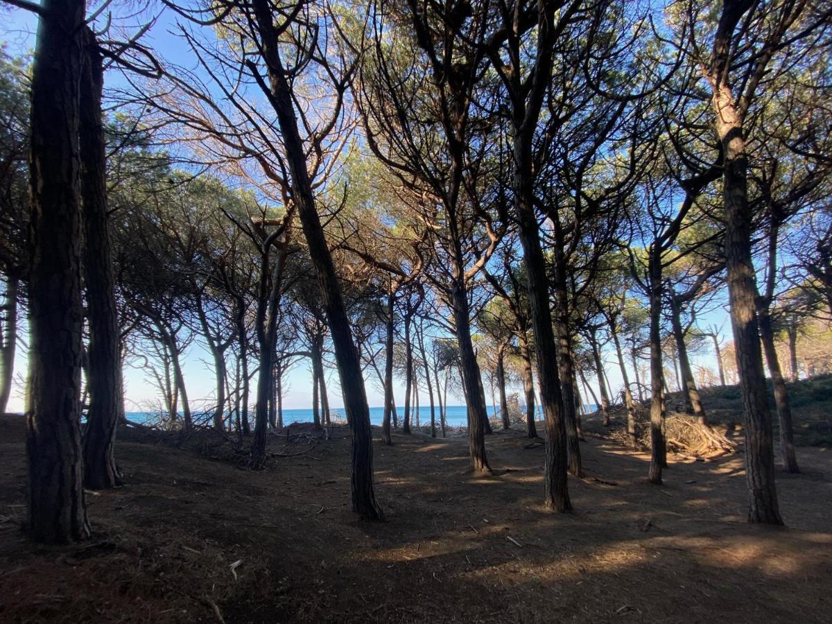 Appartamento Acquamarina Marina di Cecina Exteriér fotografie